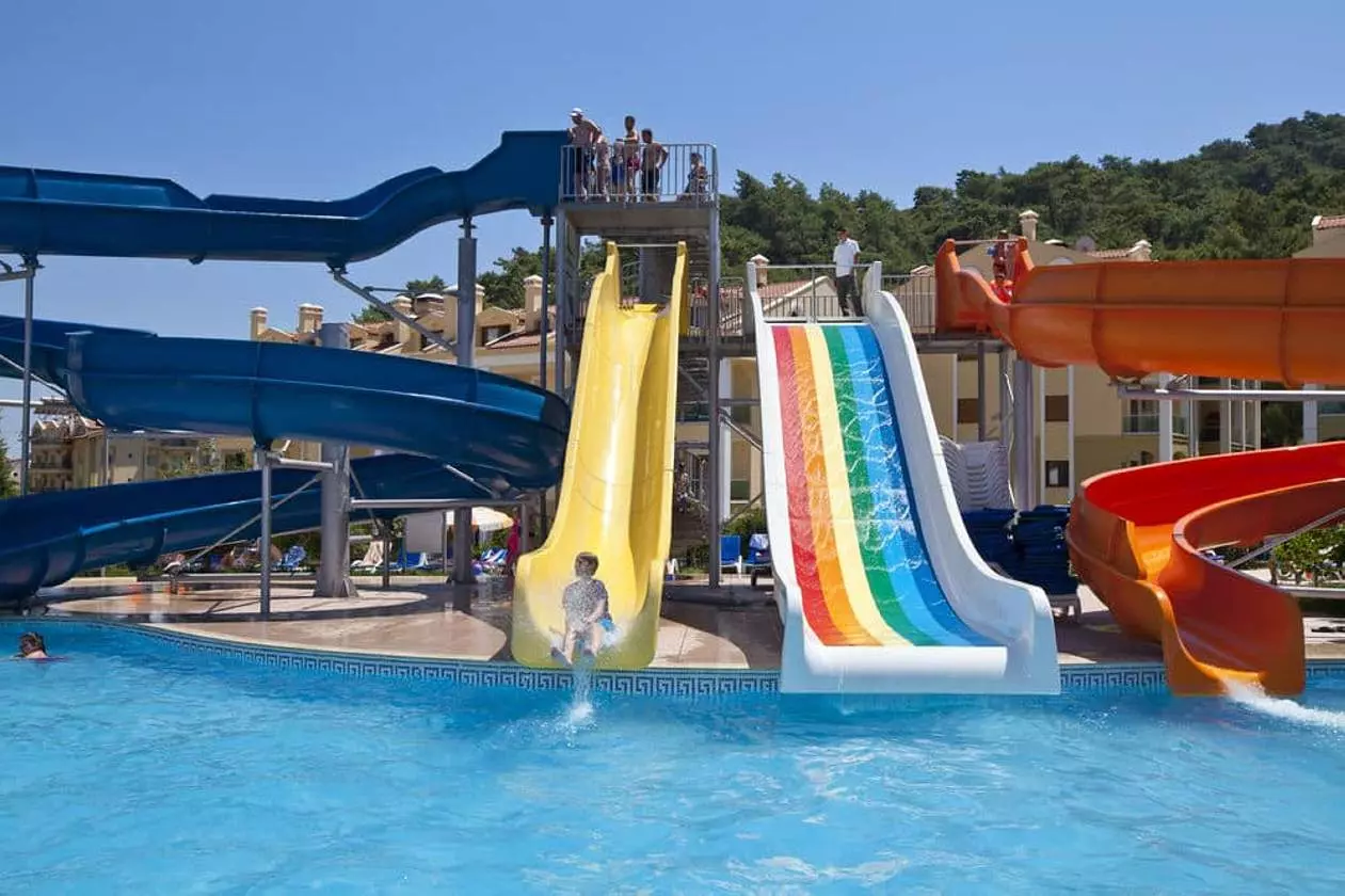 b4cd5c20_z (Copy).jpg